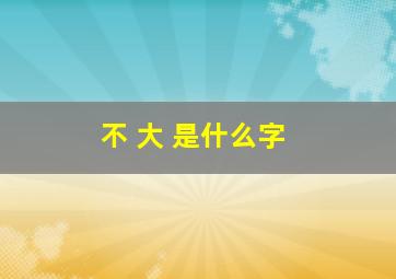 不 大 是什么字